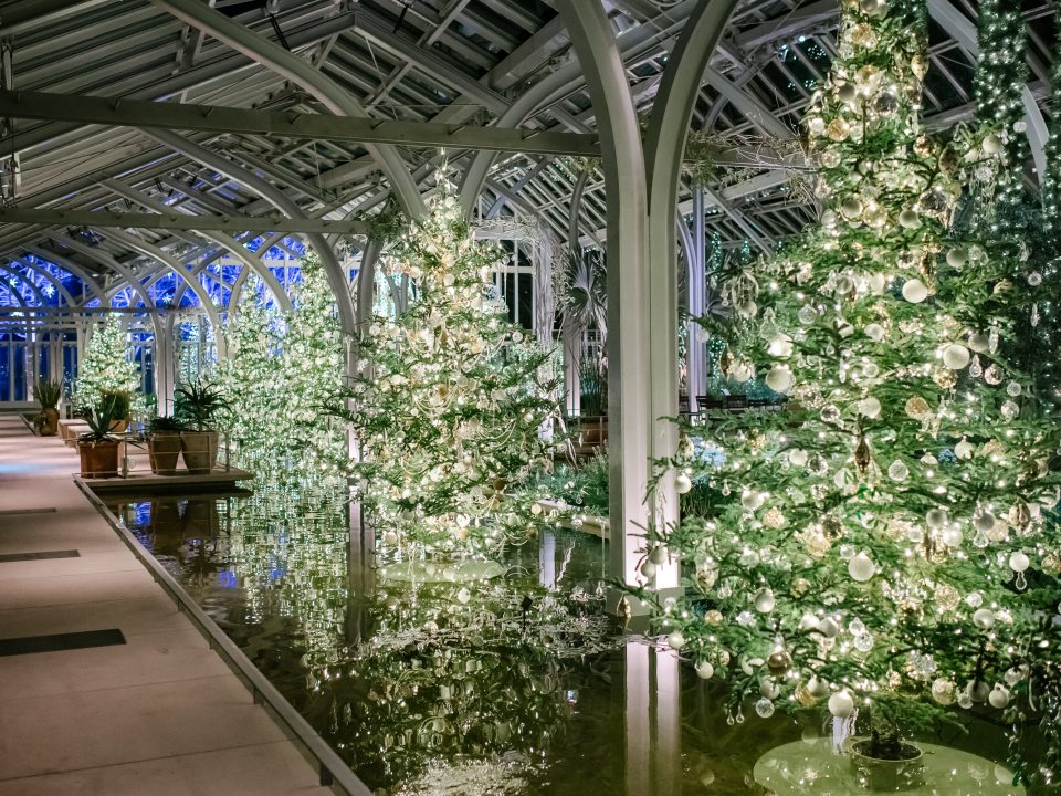 An indoor conservatory featuring Christmas trees in white lights, on pedestals, in shallow water.