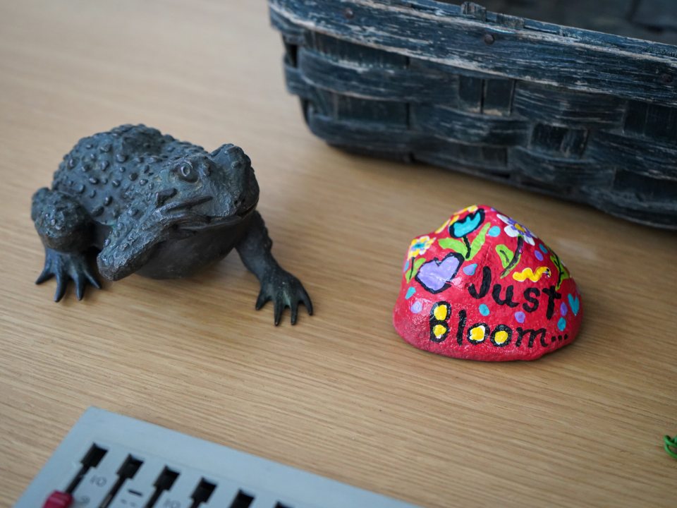A realistic stone toad and a painted rock that reads "just bloom" on a desk. 