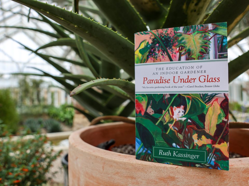 A book titled "Paradise Under Glass" propped up on the edge of a terra cotta planter, inside a conservatory.