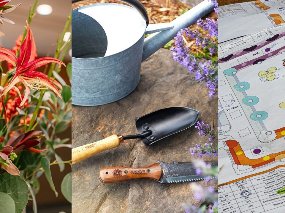 Three images collaged together of a floral display, gardening tools, and landscape design planting plan.