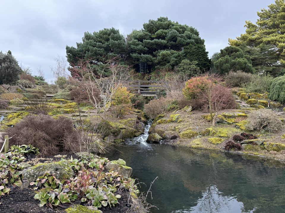 A botanical garden featuring a pond in the front right corner, and an early spring landscape surrounding it. 