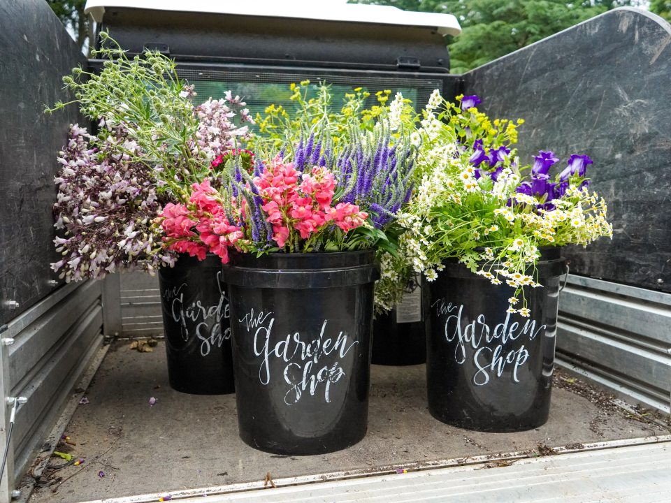 Three buckets of cut flowers in the back of a cart.