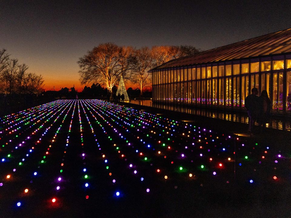 Nighttime view of a vast lawn covered in a pattern of parallel rows of glowing multi-colored lights (red, blue, green, purple) extending toward a brightly lit glass conservatory building.