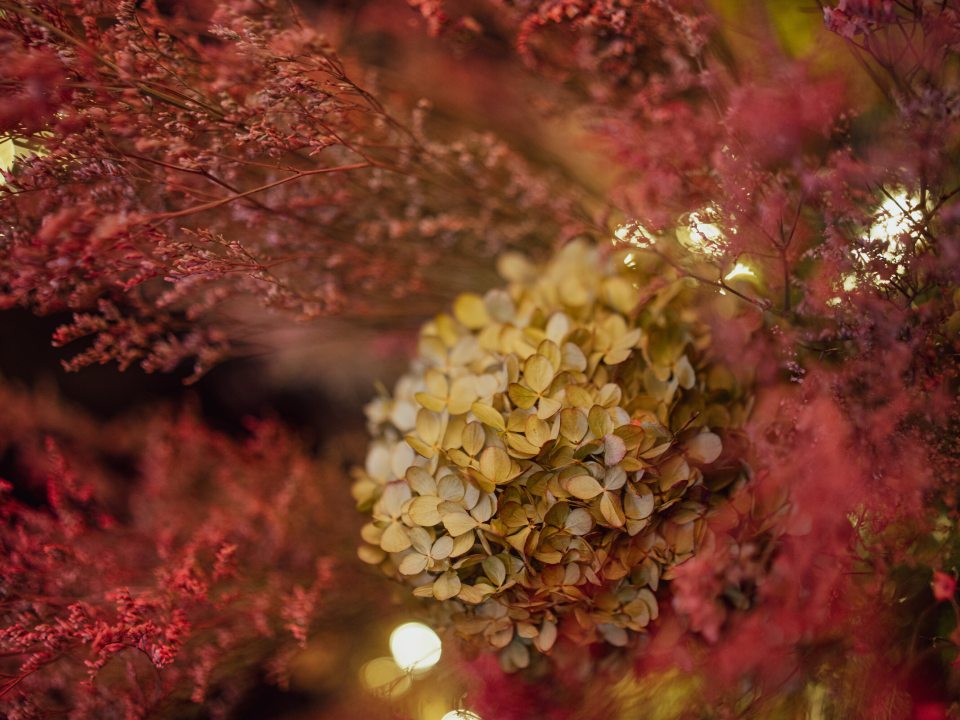A close up of dried floral material in oranges, beiges, and reds.