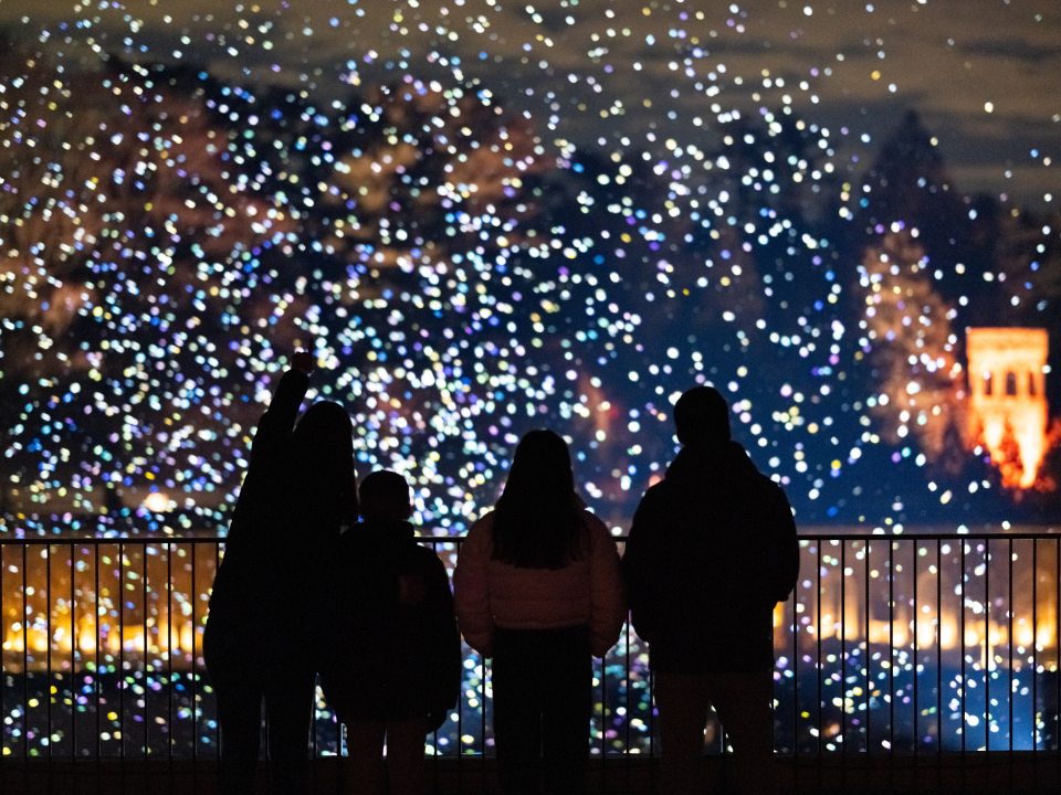 A wide, cinematic shot of the family of four silhouetted against a sprawling landscape of multicolored light orbs (white, blue, and purple). In the background, the architectural glow of a garden structure is visible, while the foreground is dominated by the dark railing and the family's silhouettes as they gaze at the immersive display.