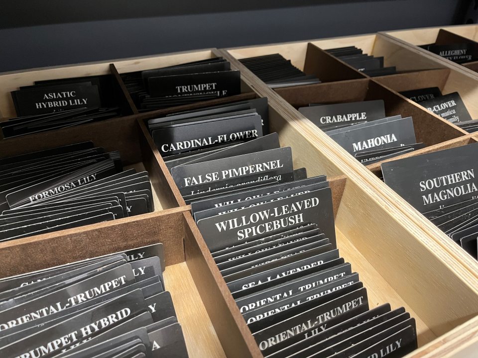 A close-up, angled shot of multiple wooden organizer trays filled with stacks of black plant identification labels. The trays feature dark wood dividers, creating separate slots for different plant species.