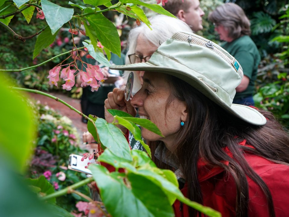 A close-up shot of a woman wearing a wide-brimmed hat using a magnifying glass to examine a cluster of pink flowers on a plant, with other people partially visible in the background.