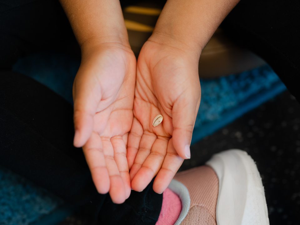 A pair of cupped hands holding a single, small, light-colored seed, shown from a top-down perspective during a children's activity.