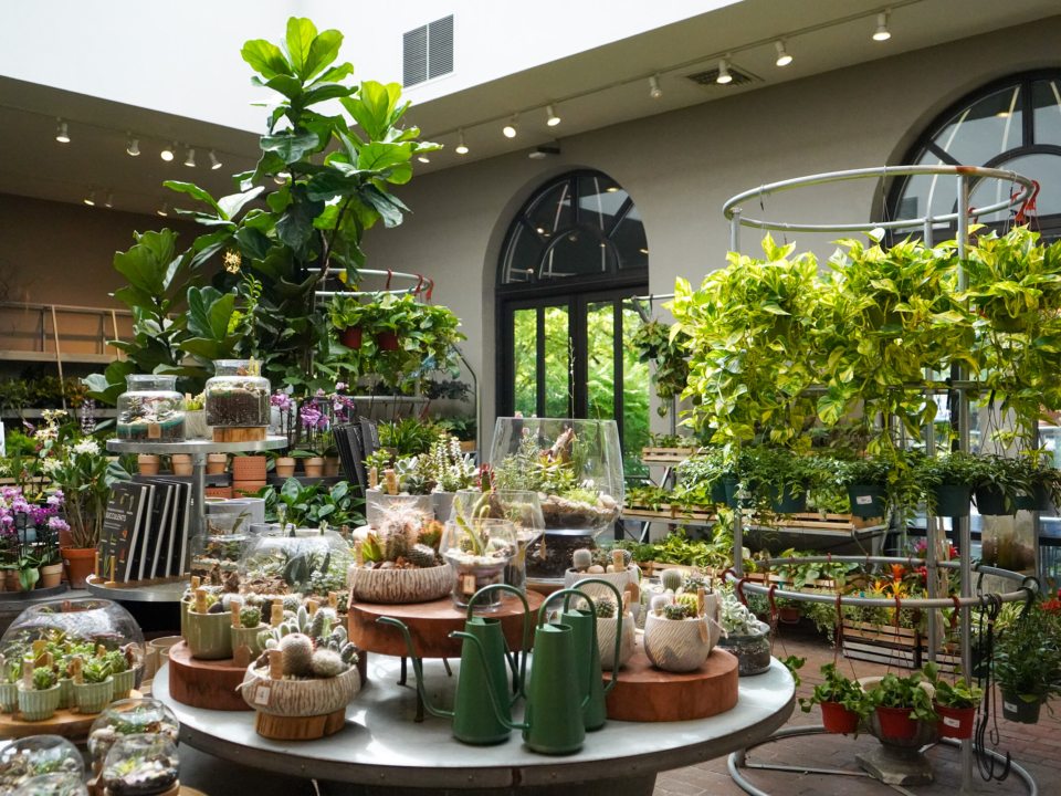 A wide, bright view inside a garden shop featuring a central display table covered with various succulents, cacti, and glass terrariums, surrounded by hanging plants, orchids, and shelves of ceramic pots.