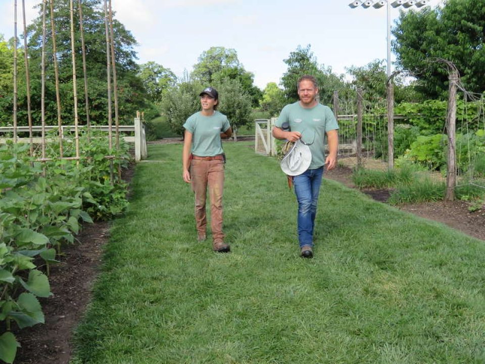 two people walking through a vegetable garden