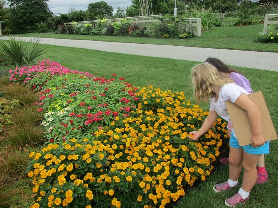 two school aged children examine a flower bed in summer