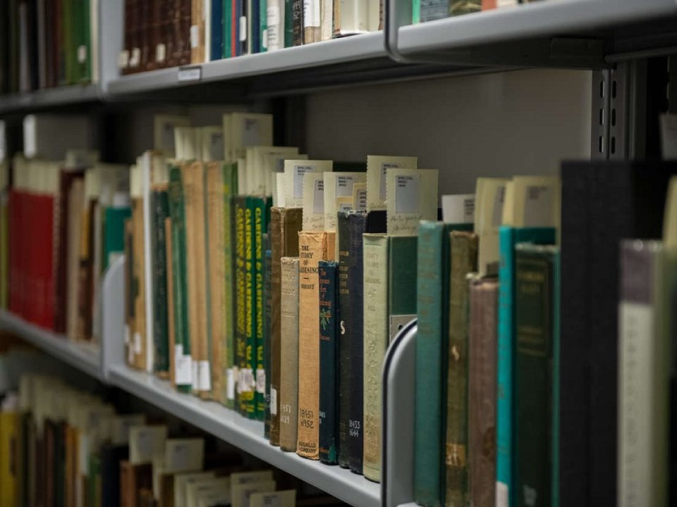 a row of books in various sizes and colors placed on a library shelf