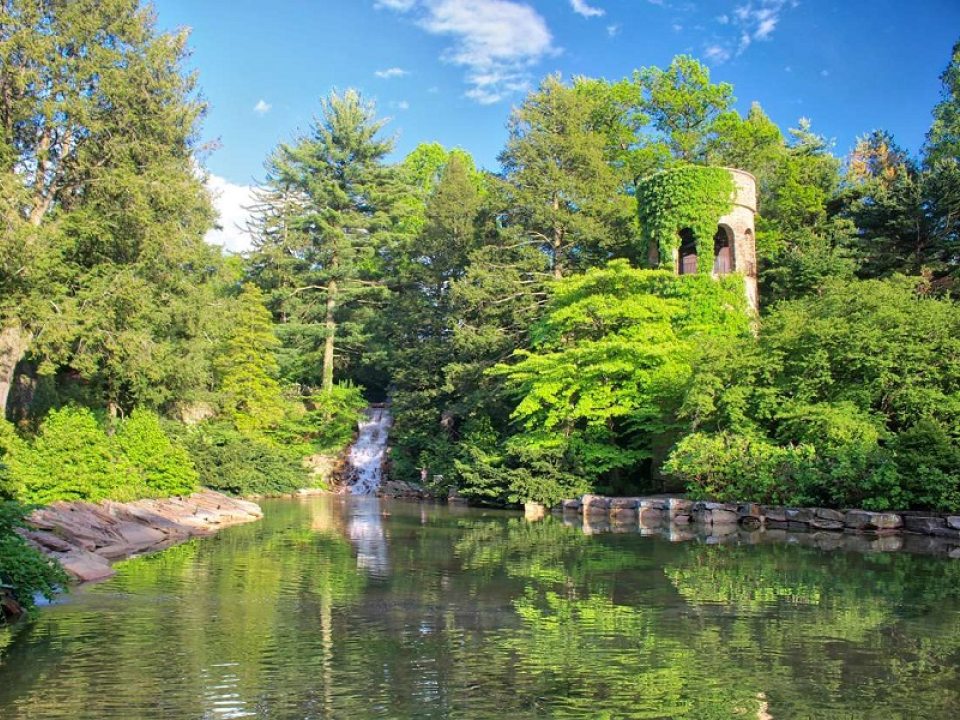 a small pond surrounded by large green trees, a waterfall, and a stone tower in the distance