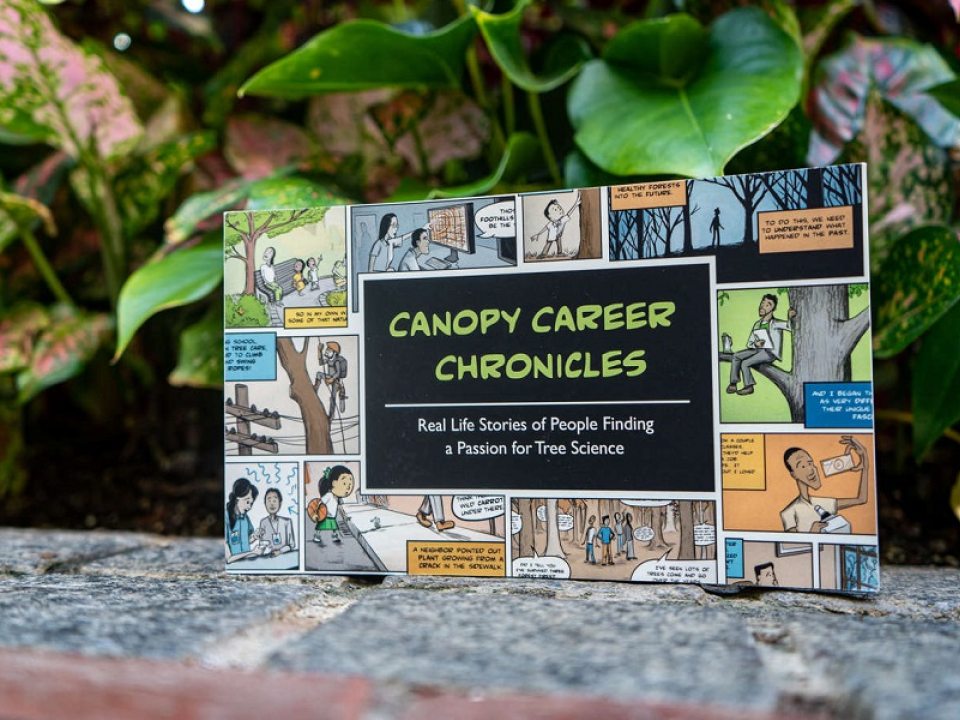 Canopy Career Chronicles book cover propped on a stone wall with plants in the background