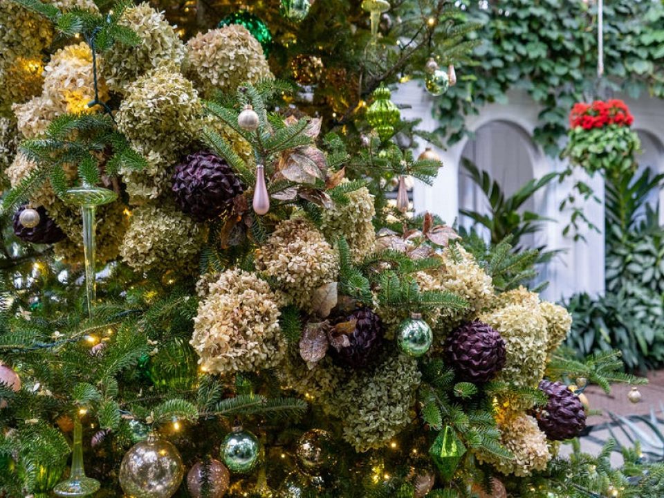 a close up of a Christmas tree with dried flowers and green ornaments 