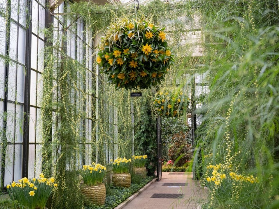 Acacia Passage | Longwood Gardens