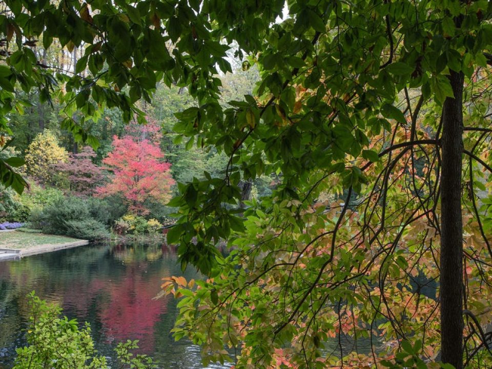 yellow, pink, green, and red fall foliage overlooks a small lake 