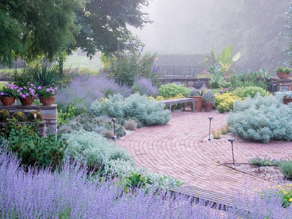 garden path on a misty day