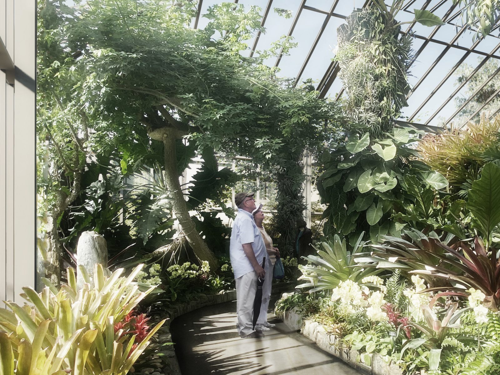 Longwood Reimagined Longwood Gardens