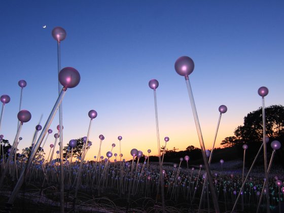 softly glowing purple orbs sit atop clear stakes planted in a field at dusk
