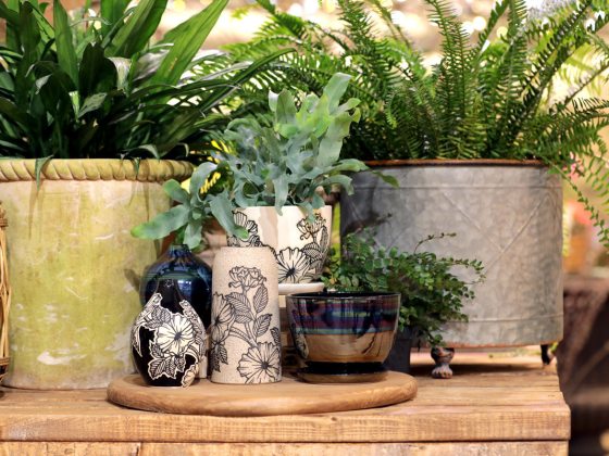 a display of plants in pots and ceramic pieces