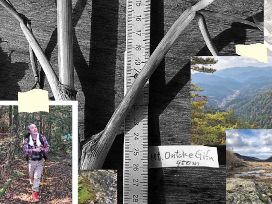 collage including a yard stick, photo of a person hiking, image of mountains