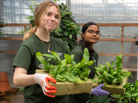 Teen Volunteers help out in a greenhouse