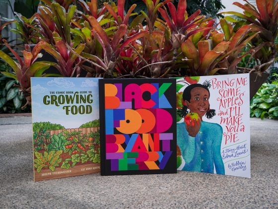 closeup of 3 colorful books about food on the floor in front of a plant with red and green foliage