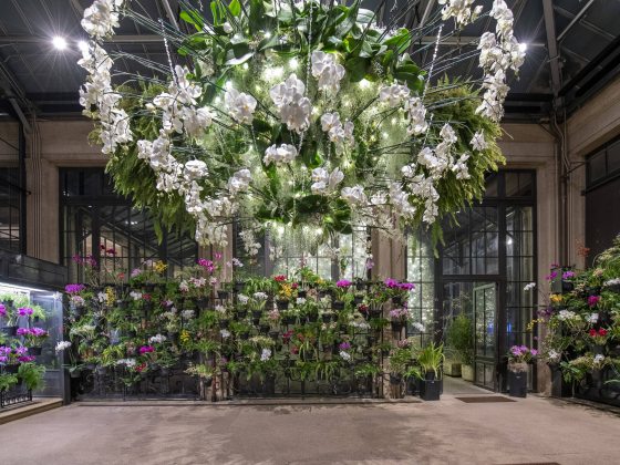 An indoor conservatory space filled with orchids on the back and right glass walls, a glass orchid case to the left, and a hanging basket of white Phalaenopsis orchids as centerpiece.