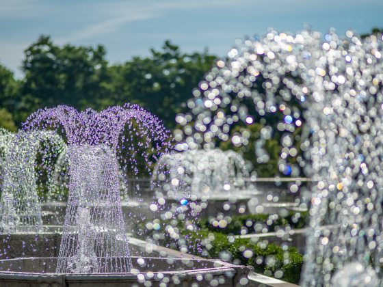 A series of fountains with water in basketweave formation, one with a hint of purple light, rise from octagonal pools against a backdrop of green trees and blue sky.
