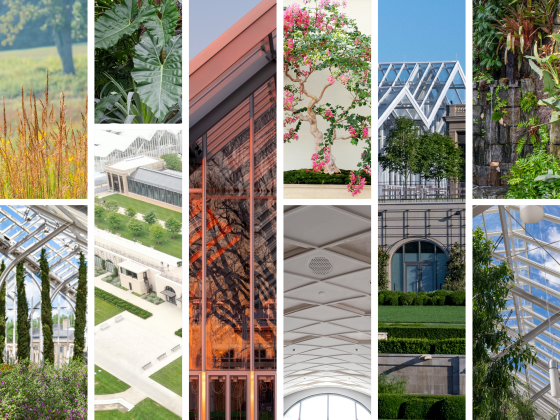 A series of vertical image panels that include shots of conservatory architecture and a variety of interior and exterior plants.