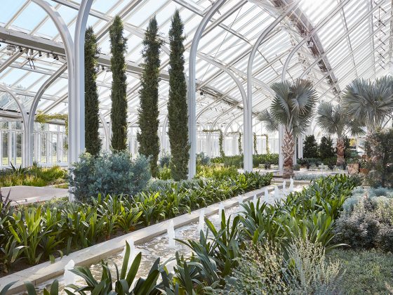 Cypress and Bismarkia trees rise above low planting beds and a central runnel