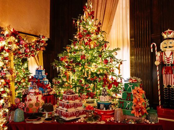 Decorated cakes lined up on a table, in front of a decked out Christmas tree.