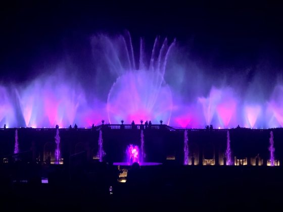 Large fountain display in pink and purple against a black night sky.