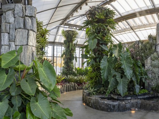 A winding path cuts through a glasshouse filled with bold tropical leaves, finely textured glaucous plants, and columns of stone and plantings.