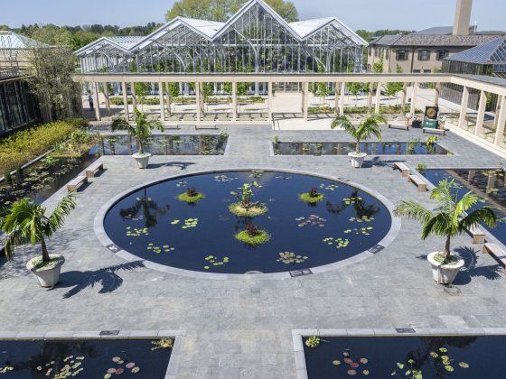 Broad view of one central round waterlily pool, surrounded by stone walkways, rectangular pools, and conservatory structures.