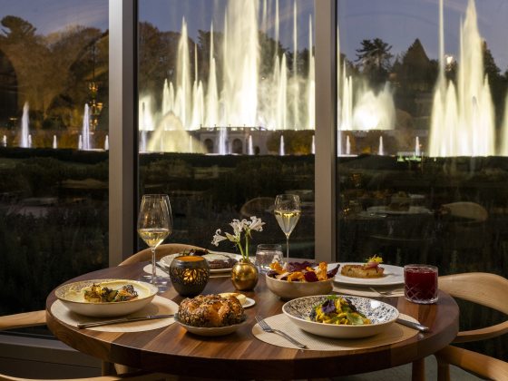 A dining table set with food with an illuminated fountain show in the background