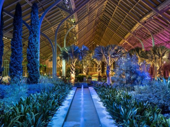 Indoor conservatory with tropical plants and soaring arches, lit with blue, gold, fuchsia.