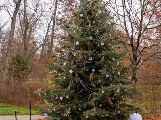 Handcrafted ornaments that double as a winter feast for our resident wildlife adorn the tree, with an Under-the-Sea pearly theme! 