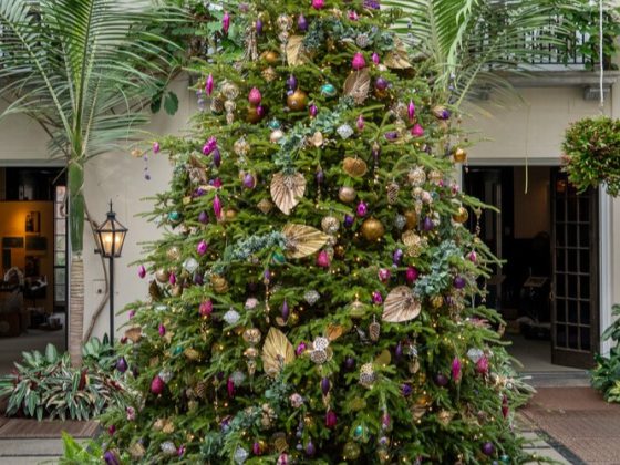 Frazer Fir Christmas tree adorned with handmade botanical ornaments.