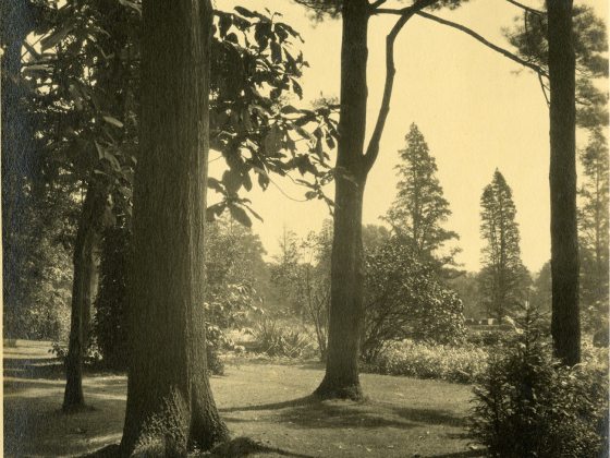 historic image of the lawn between Peirce-du Pont House and Flower Garden Walk