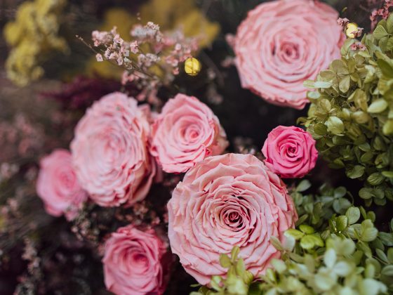 Closeup of pale pink roses amid pale green foliage and sprays of tiny pink flowers.