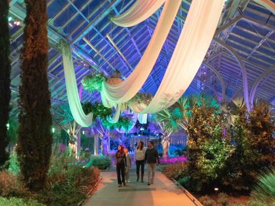 A family of four walks along a conservatory path draped overhead with flowing white cloth, amid plants illuminated in hues of turquoise and purple.