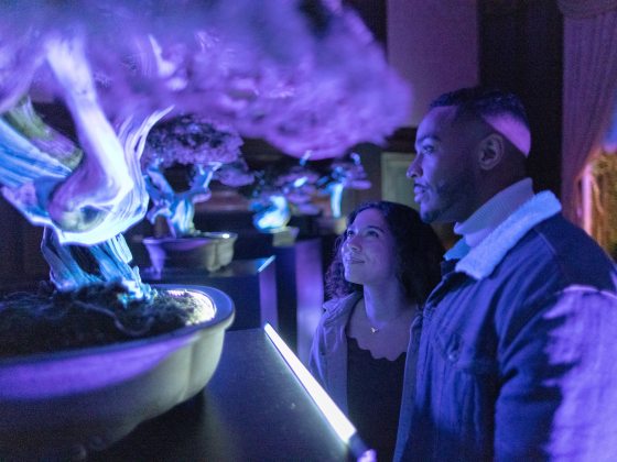 A couple admire bonsai lit with black light.