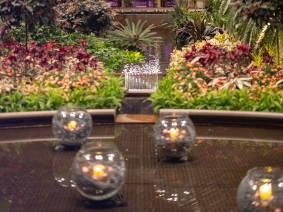 Glass orbs filled with dried florals and glowing candles float in an indoor basin of water.