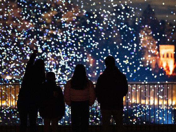 Silhouettes of four people looking at sparks of light floating over a fountain garden.