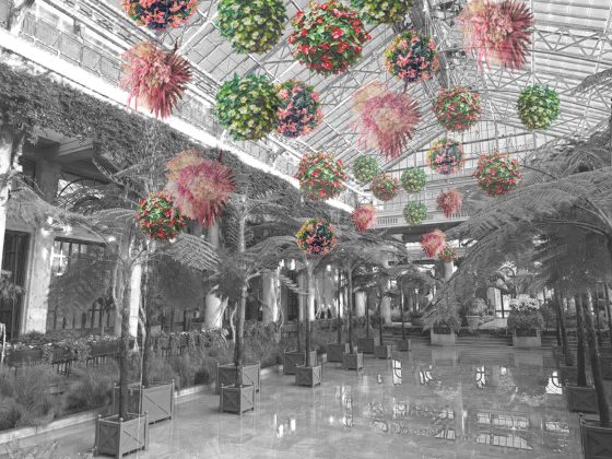 Black and white marble floor reflecting potted tree fernsand conservatory windows, with superimposed images of hanging baskets in pink, red, and white florals.