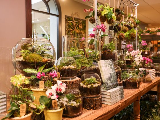 Spring Garden Shop