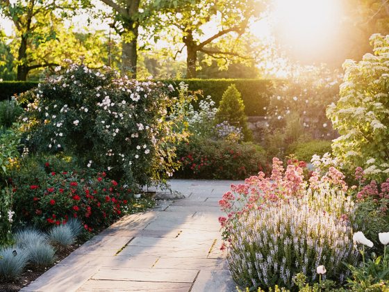A sunlit view of a stone-tiled garden path bordered by blooms and foliage of varying colors, heights, and textures.