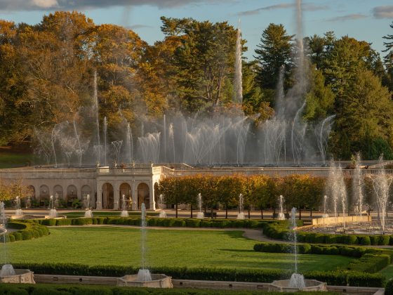 Daytime fountains dance against a backdrop of changing fall foliage.